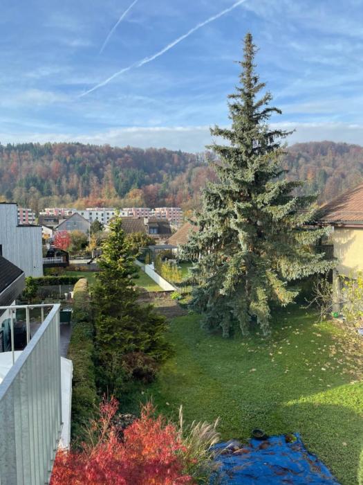 Your exclusive 2 room & 2 bathroom natural holiday home