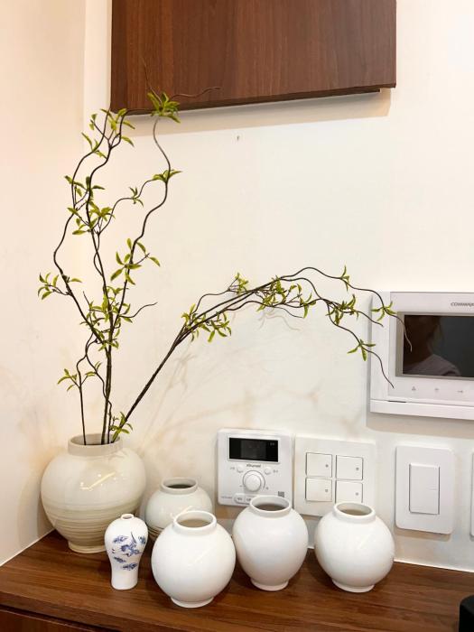 스테이 피올라 동대문