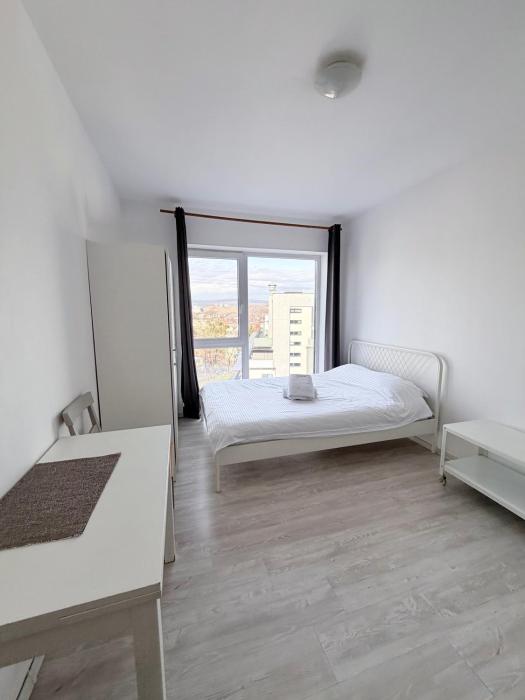 Cozy Studio near the center of Cluj