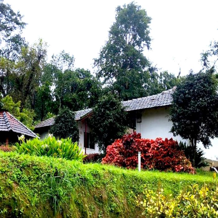 Aagani Gudda Nature Stay By StayApart