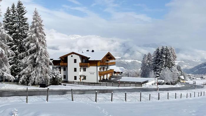 Appartement Schwab Ski in-Ski out by Schladmingurlaub