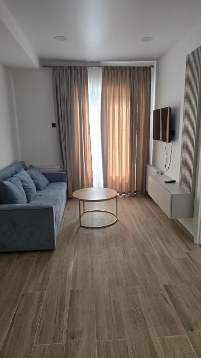 Apartment in Borjomi