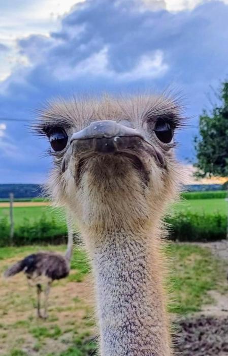 Blickfang Bregenzerwald