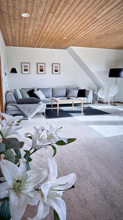 Stylish vacation home - close to sea and nature