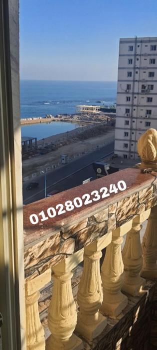 اسكندرية العصافرة