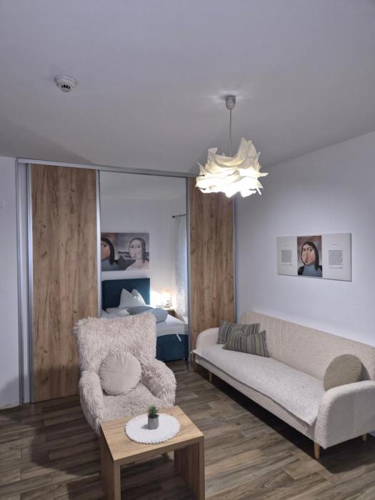 Centar Novi Sad-Apartman No 1 PARKING ON REQUEST