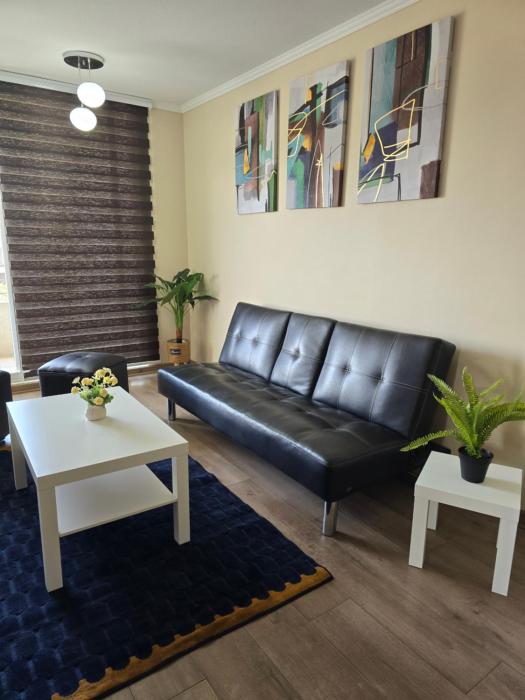 Fabuloso Amplio Departamento 3 dorm Parcking y Wifi