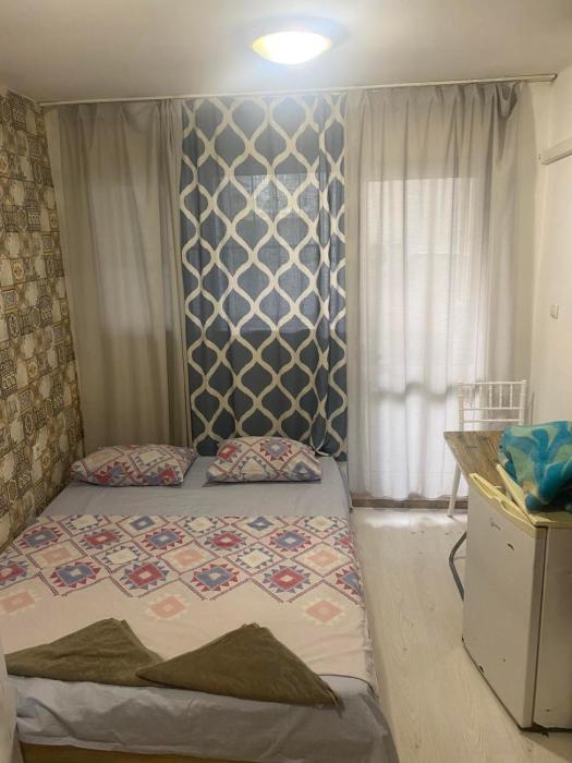 Стая радецки