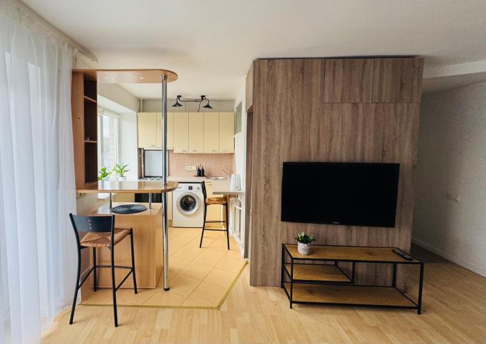 Central apartament III