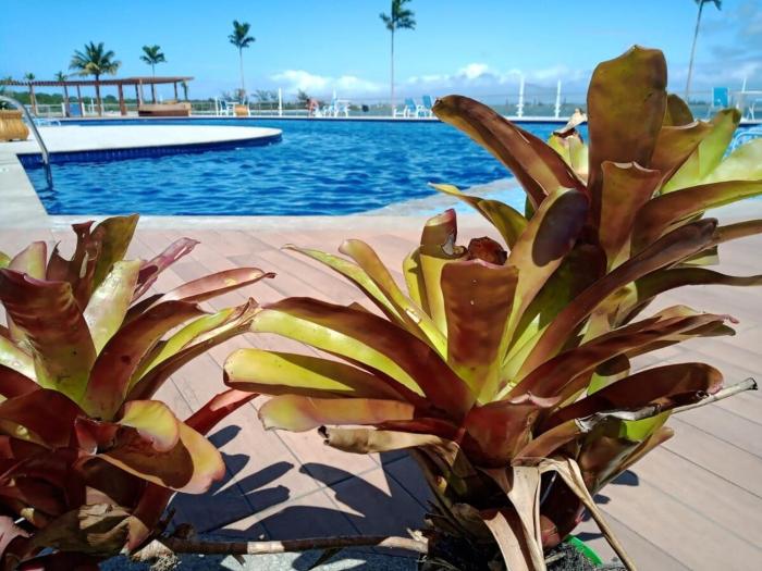 Apartamento Golden Lake Natureza&Lazer