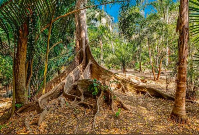 Mita Woods - 4 villas