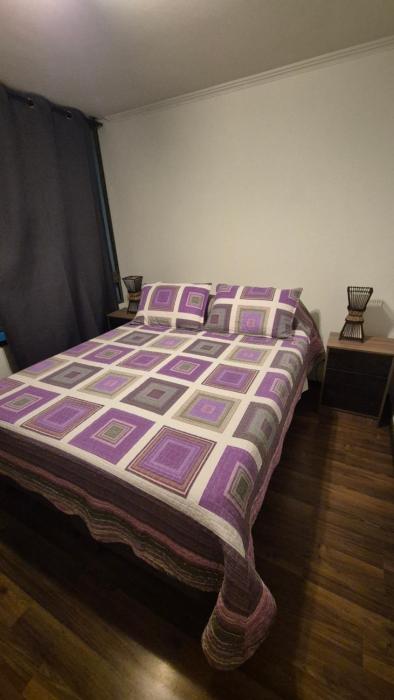 Departamento Torres Huayquique