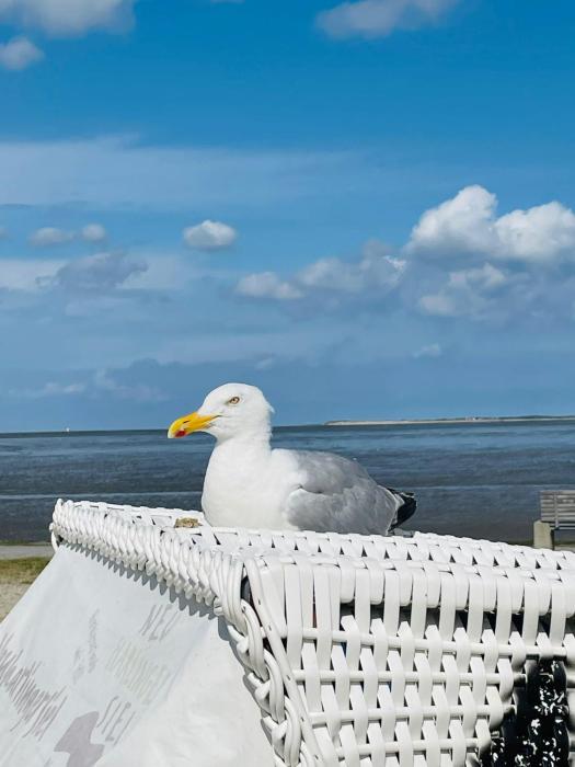 Ferienhaus StrandGut