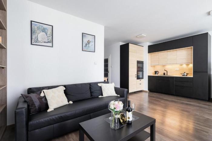 Spacious Studio Zabłocie with Balcony Krakow