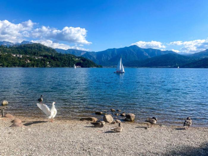 Apartment Harmony - Ischia - Lago di Caldonazzo