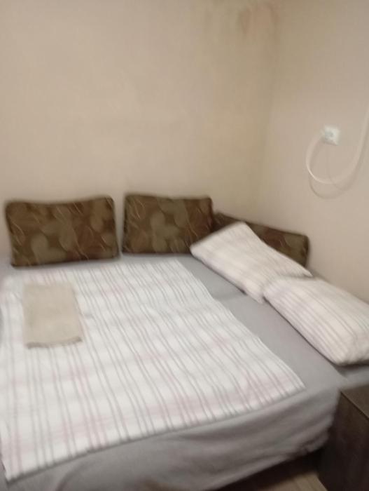 Стая ириче 2