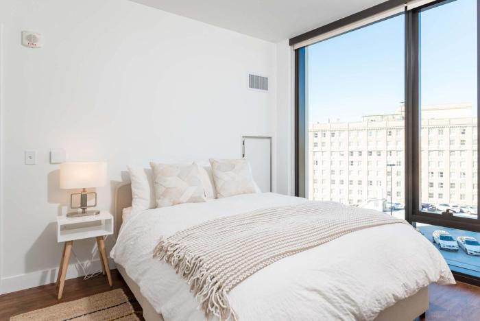 Upscale Penthouse with Gym Parking near MGH TUFTS