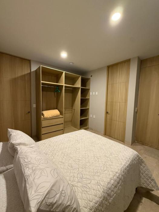 Departamentos paseo imperial san Miguel de Allende