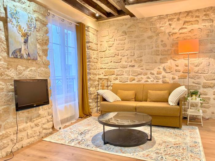 Paris Loft for 4 by Chatelet & Montorgueil & Metro N2-46