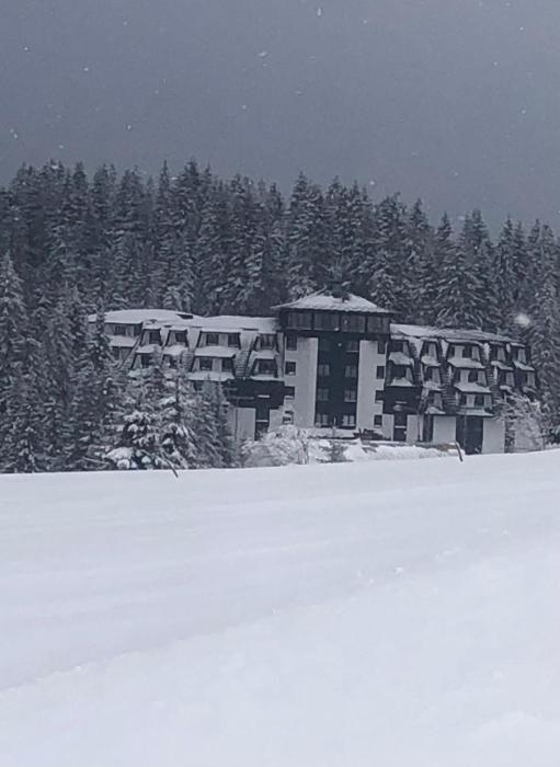 Apartman Nikolic 418