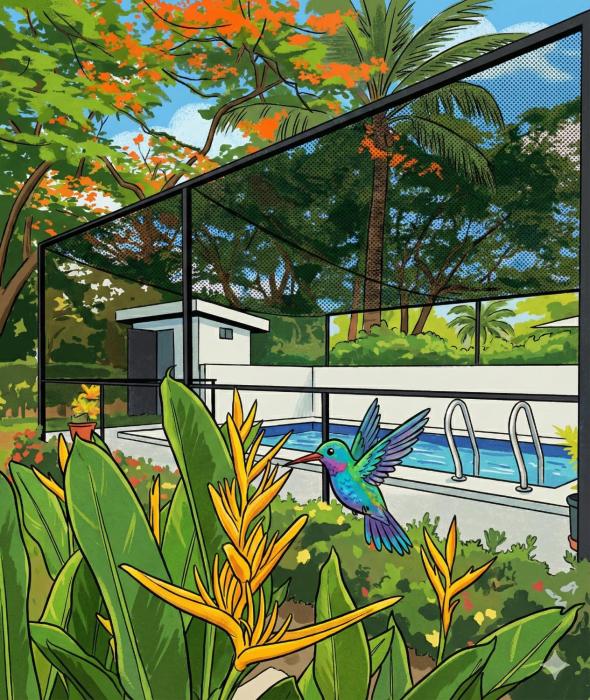 Pura Vida - Villa Elenita