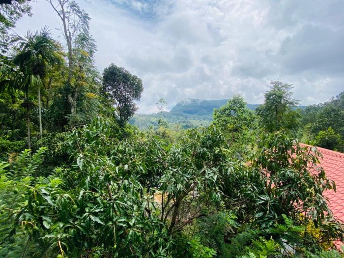 Nice View guest house & restaurant