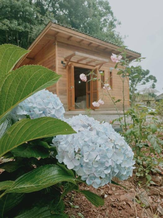 Chalé - Veduta Del Monte