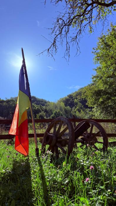 Authentic Transylvanian Country House