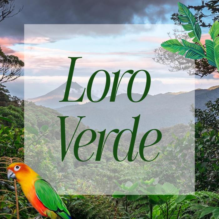 Loro Verde near Corcovado Park