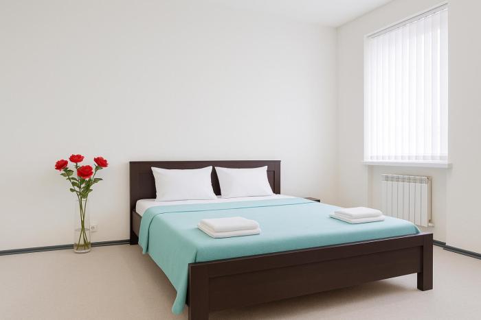 Large apartment in the center