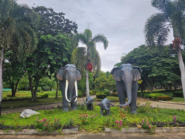 Diamond Land Natural Resort