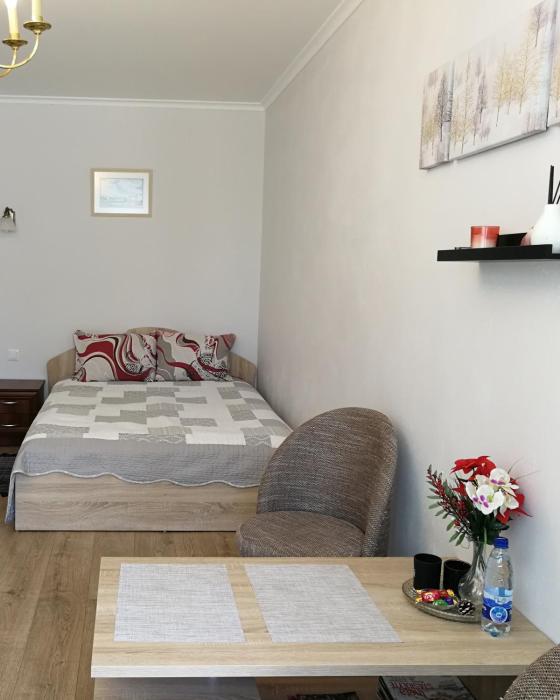 Šiauliai City Apartment