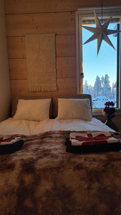 Arctic Giantlog Villa with private ice rink