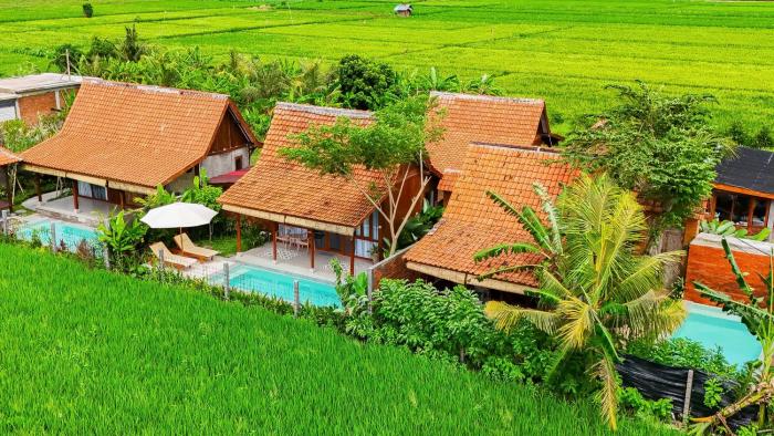 Rumah Tengah Sawah Bali