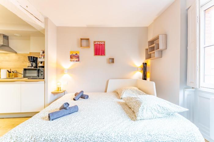 Le cosy Capitole - Studio hypercentre Toulouse