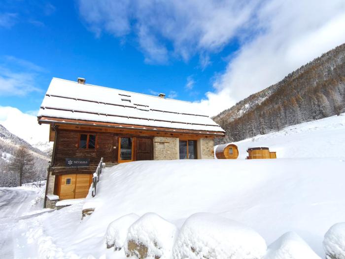 Chalet prestige 14 pers au pied des pistes