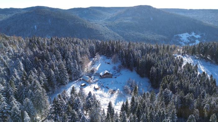 Gite à la ferme aux Alpagas