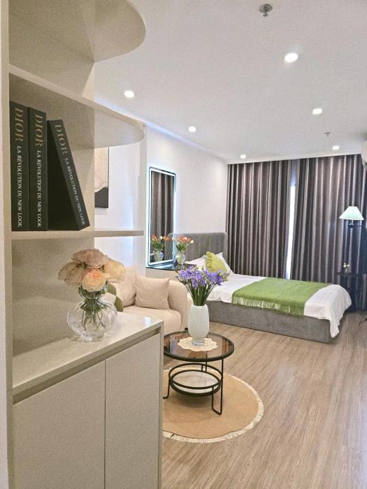 Vinhomes Smart City - Studio S101