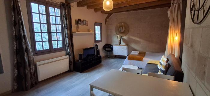 Appartement typique au coeur du vieux Tours