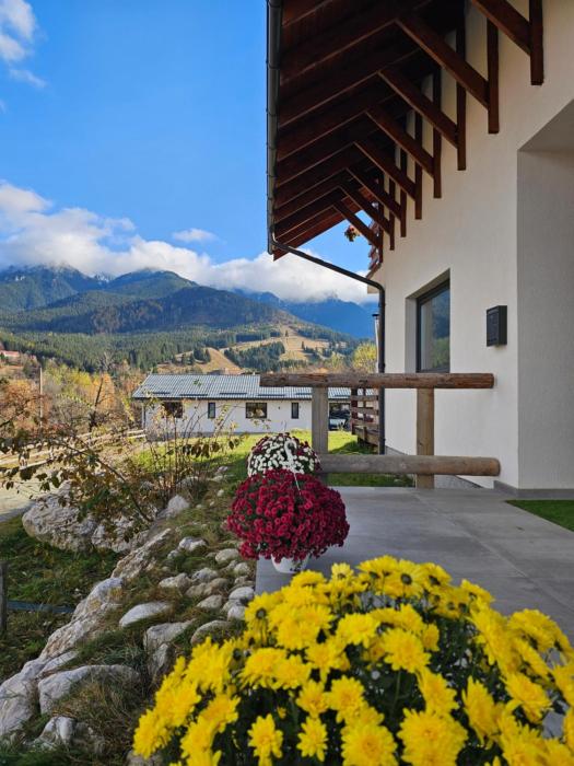 Panoramic Chalet Bran