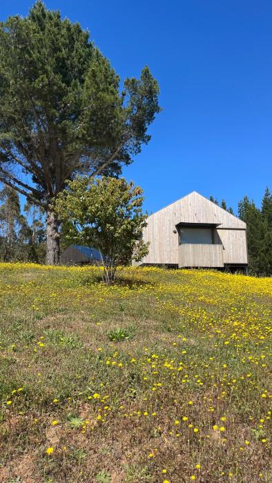 Alojamiento y Desayuno Privado De lujo C2