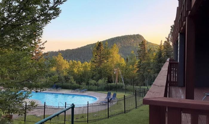 Cozy 1 bed end unit ski in ski out condo