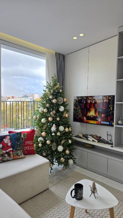 Penthouse with a city view