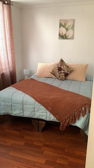 Departamento Ejecutivo Santiago centro