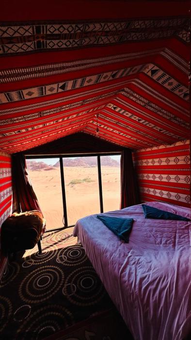 Desert Nights camp
