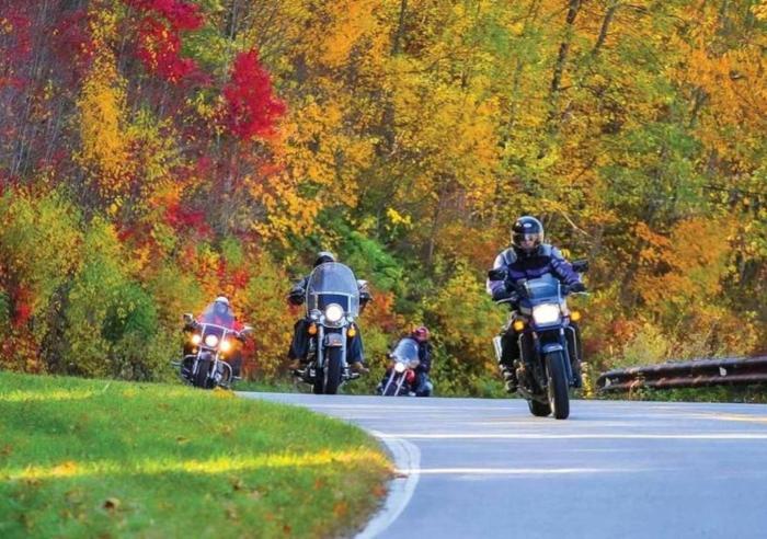 Biker-Friendly Cabin, Pets Welcome, Near River