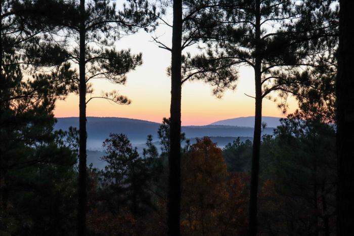 Hike the Ouachitas! Remote Mtn Hideaway w Trails