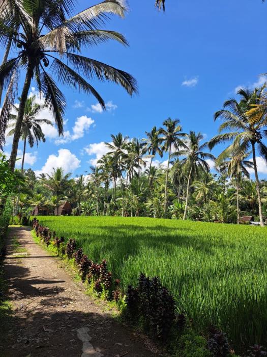 tarotours accommodation