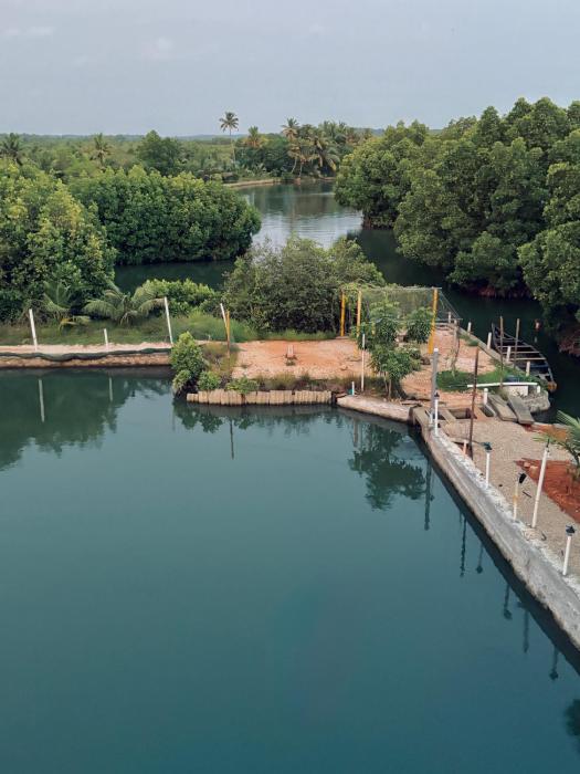 Munroe Mangrove Forest Lake Holidays Resorts