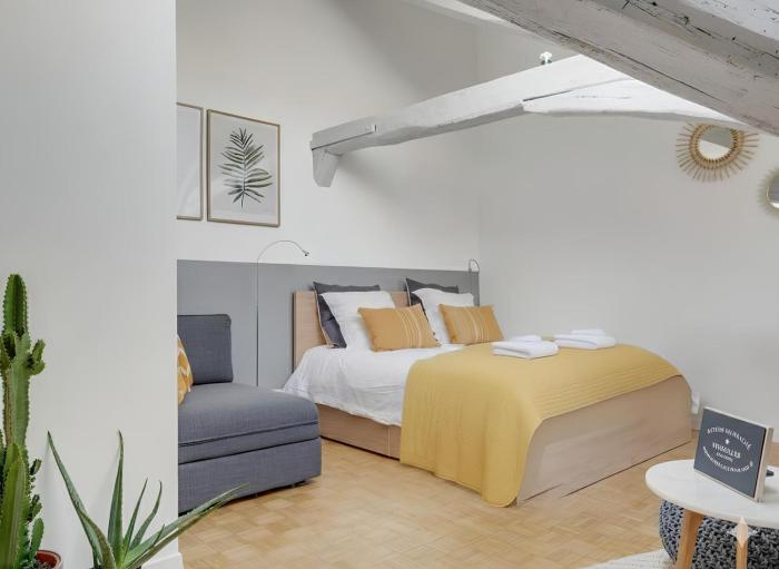 Les Mansardes du Roi - À deux min du château - Centre historique